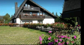 Ferienhaus-Schönwald im Herzen des Schwarzwaldes 1ZimmerWohnung+Balkon App7
